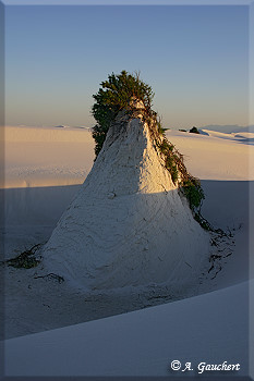 Dünengestalt